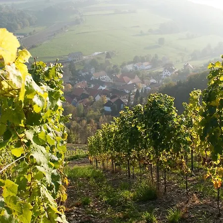 Weingut Hees - Landgasthof Zum Jaeger Aus Kurpfalz Hotel Auen