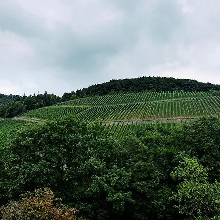 Weingut Hees - Landgasthof Zum Jaeger Aus Kurpfalz Hotel 3*