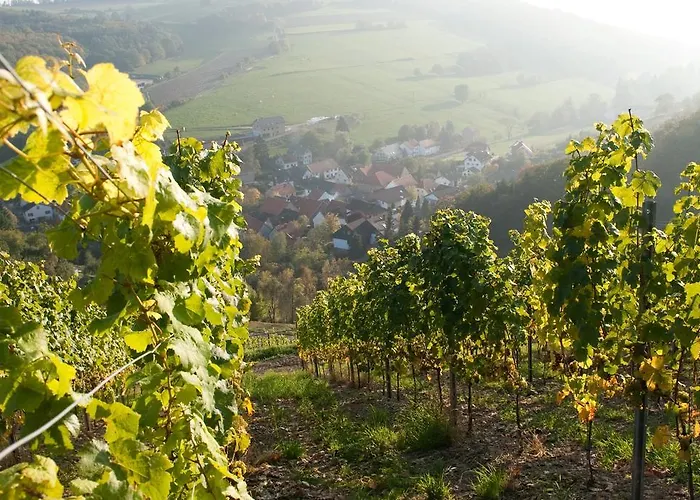 Weingut Hees - Landgasthof Zum Jaeger Aus Kurpfalz Hotel Auen (Bad Kreuznach)
