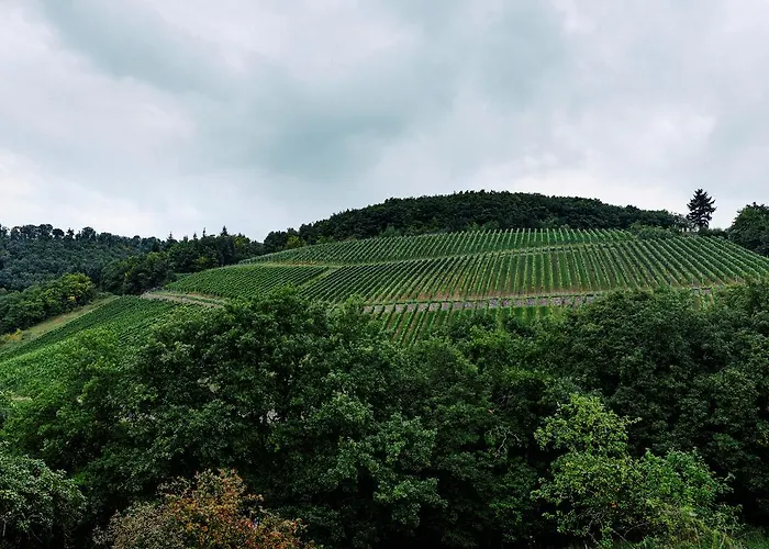 Weingut Hees - Landgasthof Zum Jaeger Aus Kurpfalz Hotel 3*
