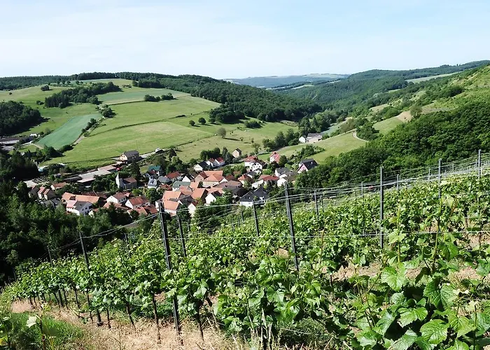 Weingut Hees - Landgasthof Zum Jaeger Aus Kurpfalz 3*