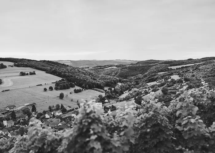 Weingut Hees - Landgasthof Zum Jaeger Aus Kurpfalz Auen (Bad Kreuznach)